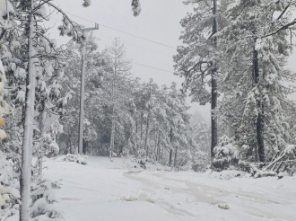 Tres Pulgadas Blanquean la Sierra